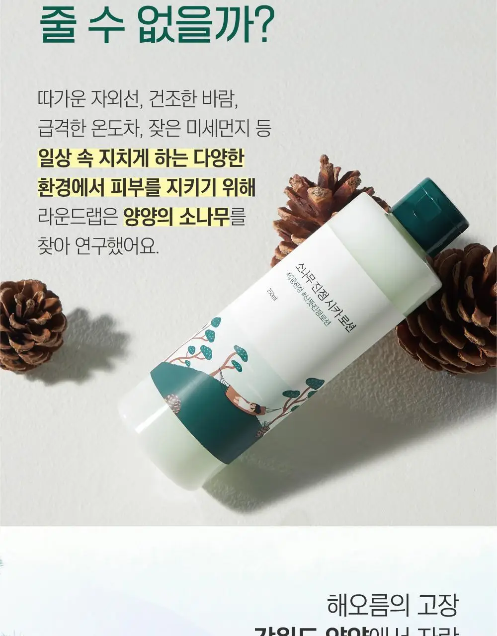 [민감진정] 라운드랩 소나무 진정 시카 로션 250ml 상세페이지 4